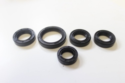 Sada gufer motoru BABETTA 210/225